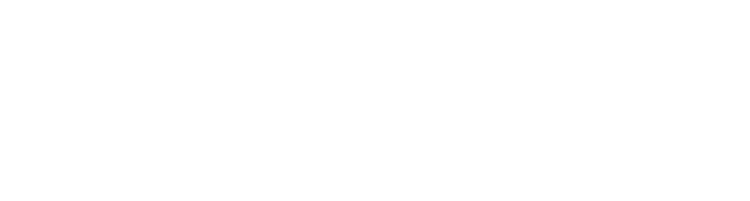 Vestnetzwerker_weiß